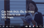 Các hình thức đầu tư theo luật Đầu tư của Việt Nam năm 2020 - YouTube
